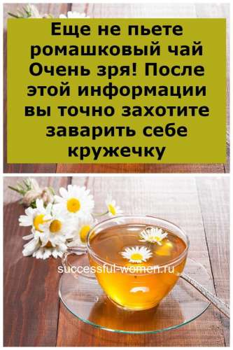 Чем полезен ромашковый чай в пакетиках для женщин после 60 • siniy-chay.ru