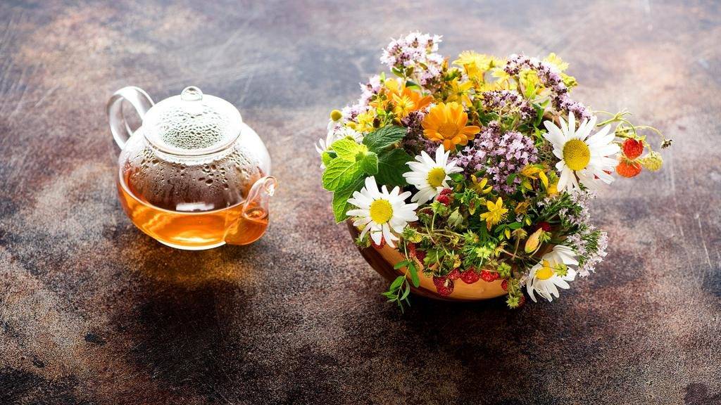 Целебные свойства монастырского чая миф или реальность