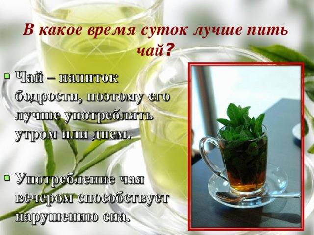 Почему нельзя пить много зеленого чая: вред и польза напитка
