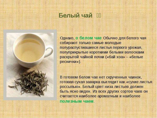 Чай: польза и вред для зубов