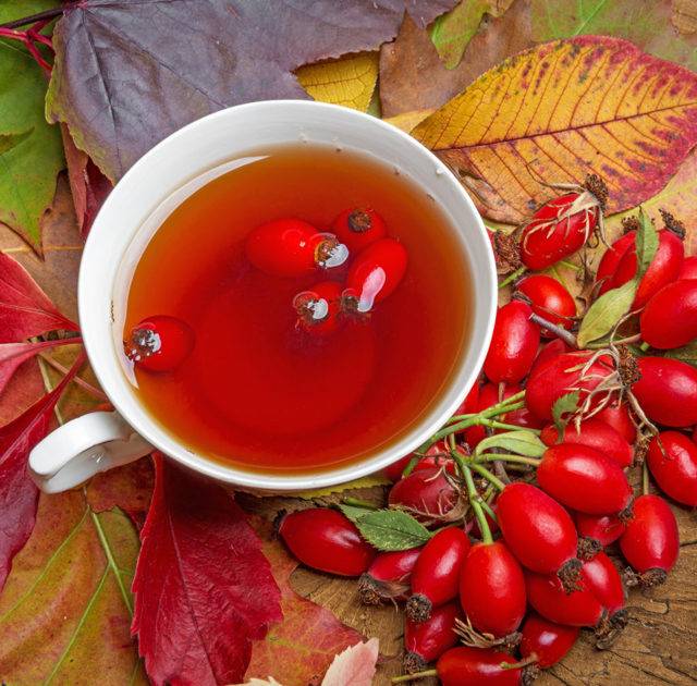 Чай из шиповника: старинное средство от ста болезней. что известно науке о вреде чая из шиповника