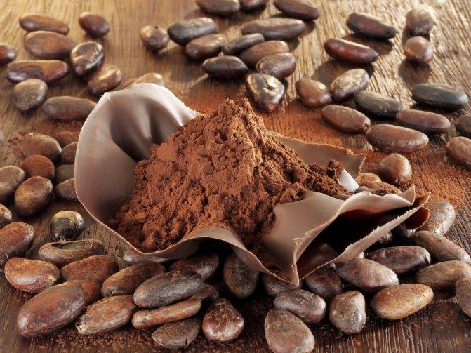 Как делают какао