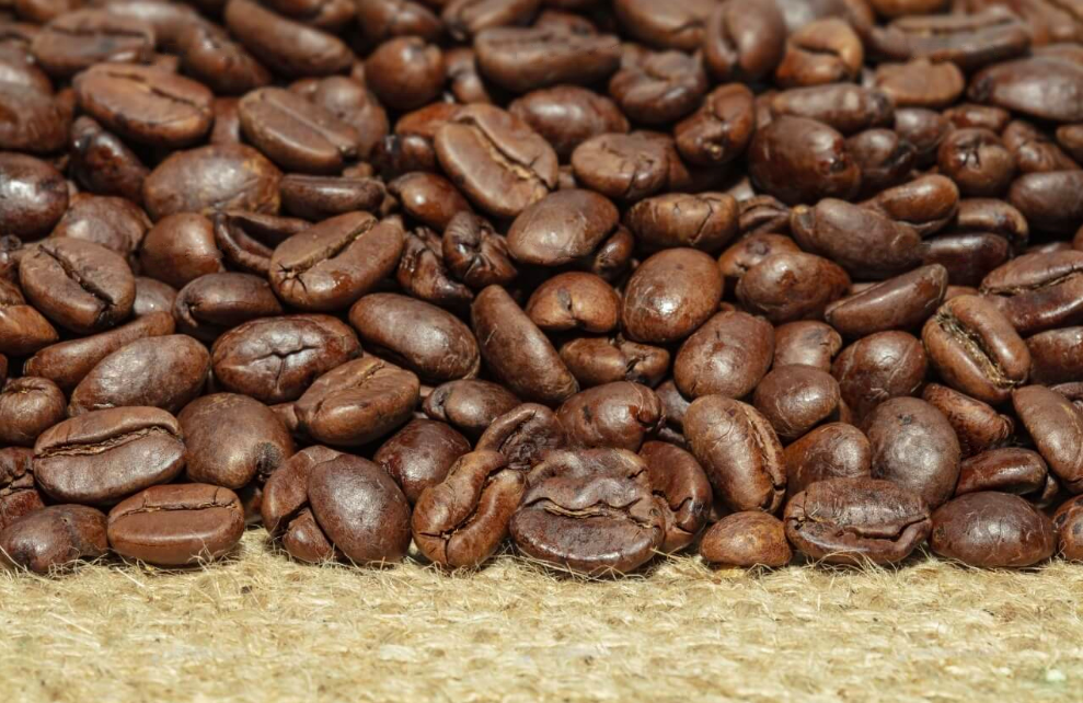 Самый распространенный сорт кофе
