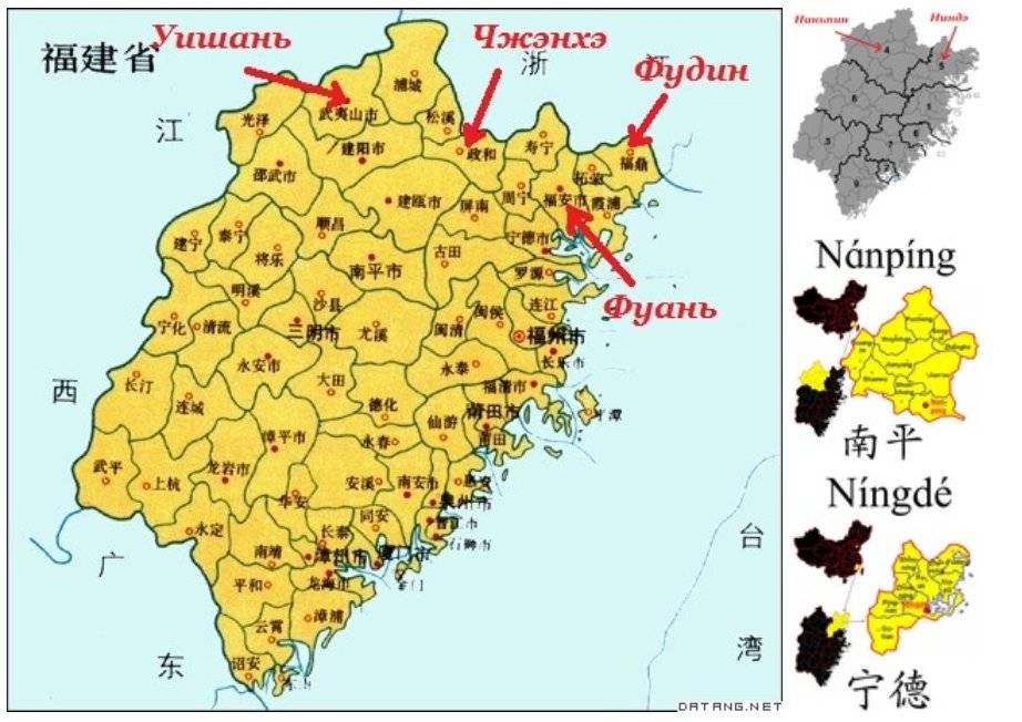 Улун Жоу Гуй – описание утесного чая из провинции Фуцзянь