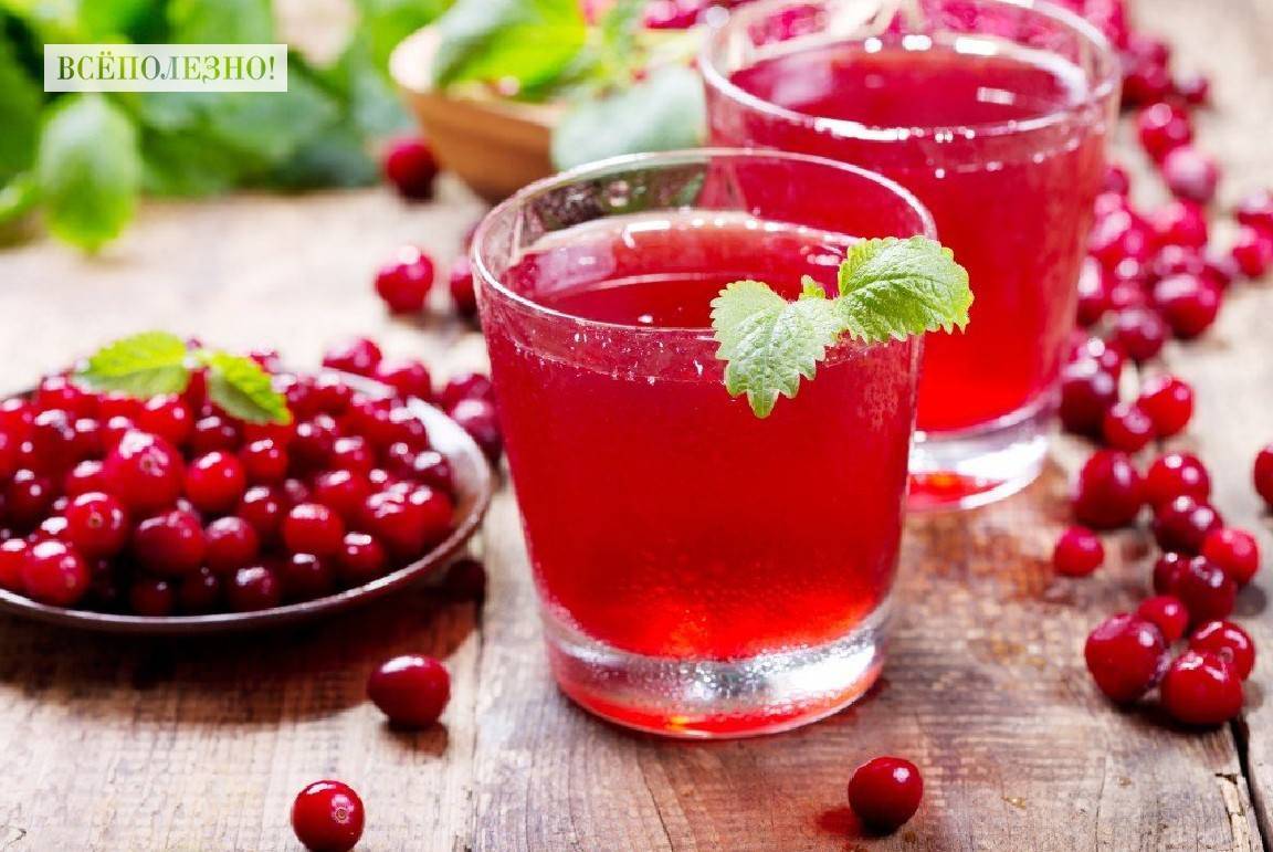 Брусничный чай, морс: польза, вред, рецепты приготовления