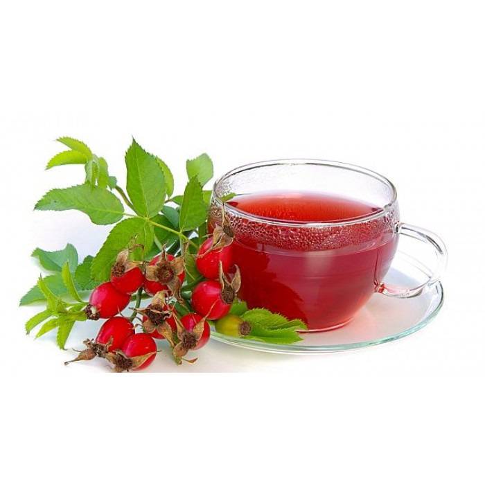 Полезные свойства и рецепты чая с калиной