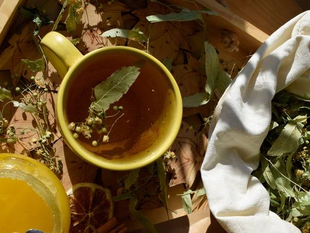 Липовый чай: полезные свойства и противопоказания — польза и вред настоя с липой