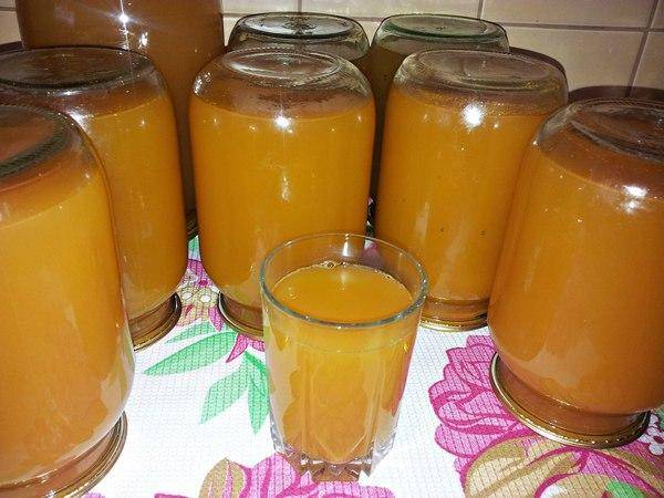 Как выжать сок из апельсинов, если нет соковыжималки – простые способы