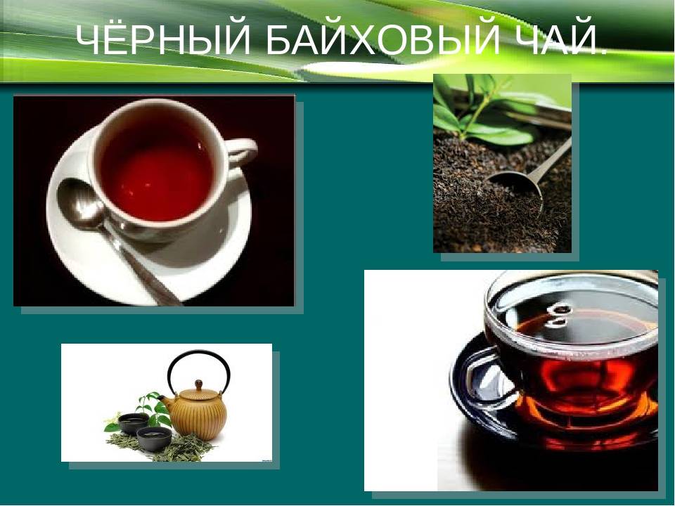 Чай байховый, его история и виды
