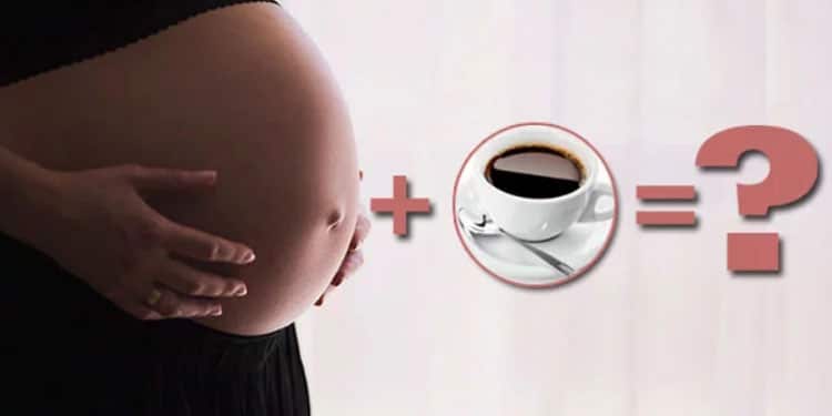 Можно ли кофе беременным на ранних сроках?