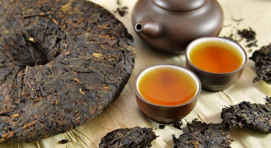 Дикий пуэр — что за китайский чай?