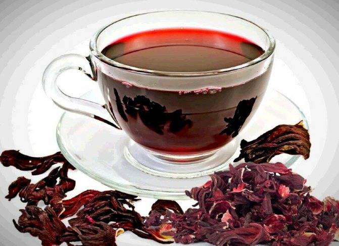 Каркаде: полезные свойства и противопоказания, как и когда пить чай