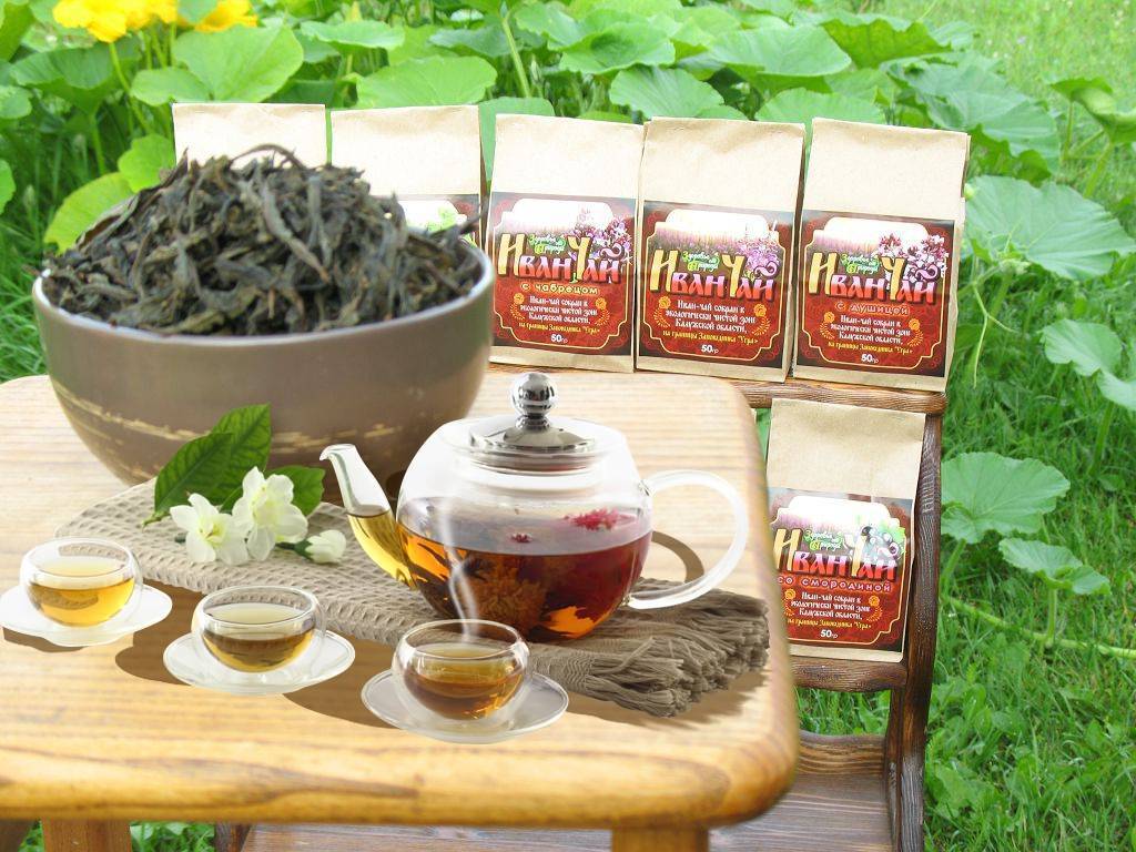 Иван чай целебные свойства рецепты как заготавливать мед.портал фармамир