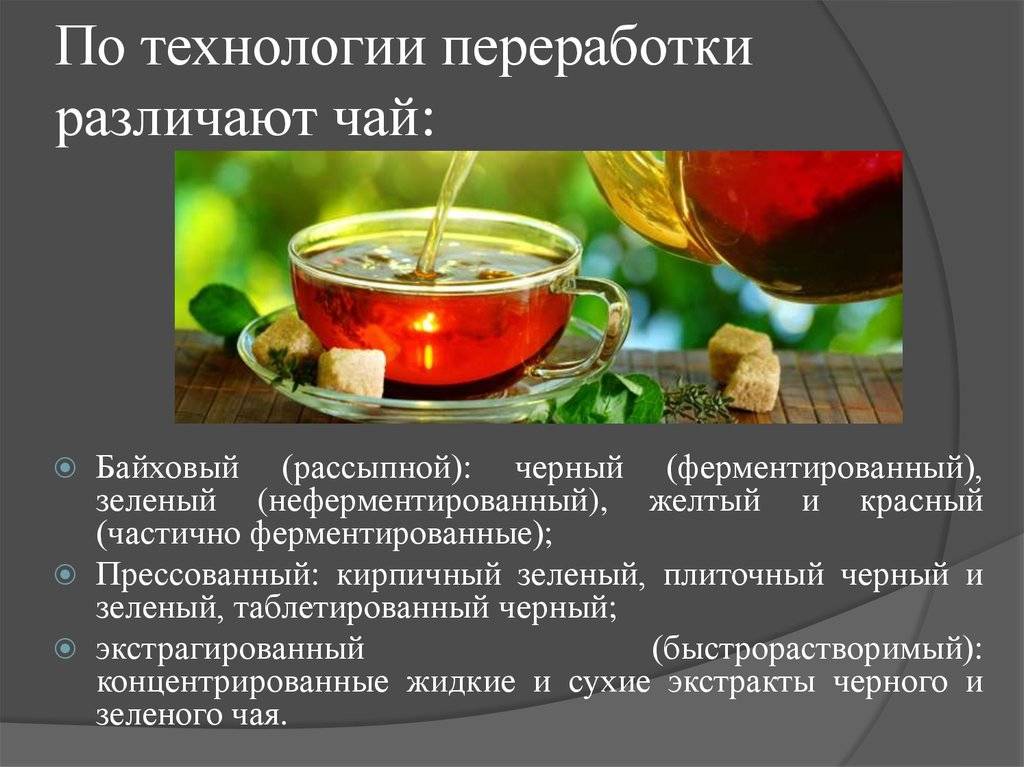 Какие бывают виды чая?