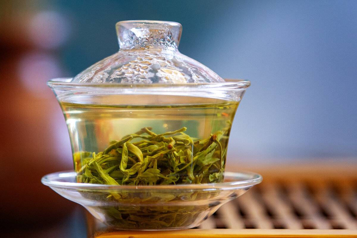 Плектрантус. полезные свойства. чай с плектрантусом – 2 рецепта