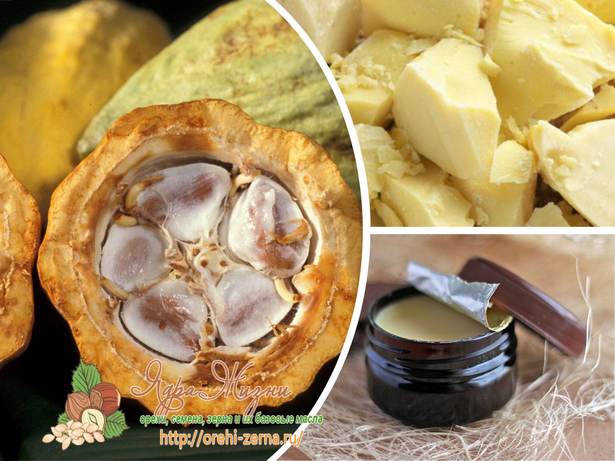 Масло какао