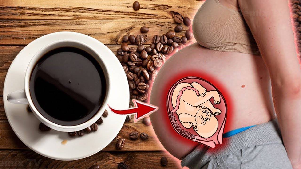Можно ли беременным пить кофе на ранних и поздних сроках