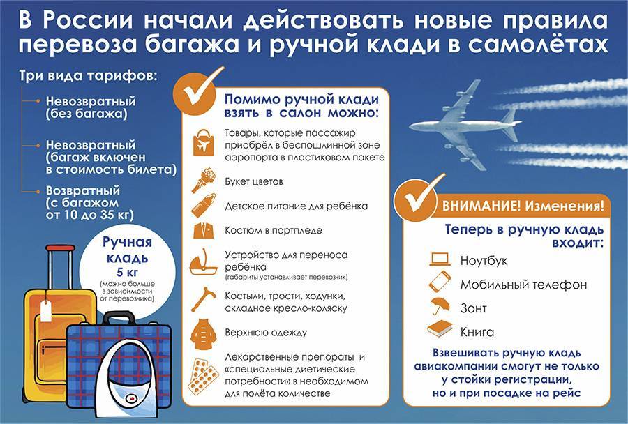 Какие продукты можно провозить в ручной клади в самолете в 2021 году