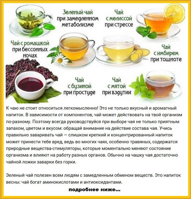 Зеленый чай — польза и вред для организма
