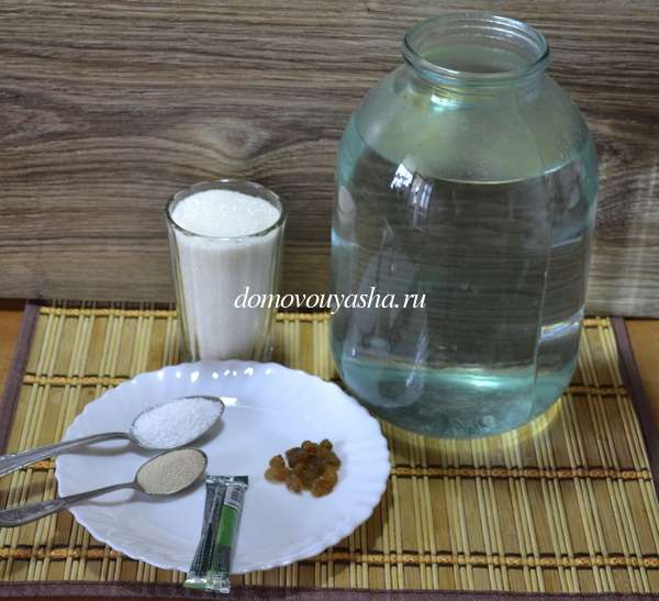 Квас из цикория в домашних условиях – 5 рецептов приготовления с пошаговыми фото