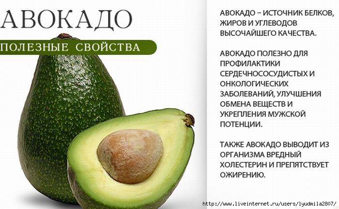 Авокадо — фрукт здоровья! полезные свойства, как выбрать и приготовить