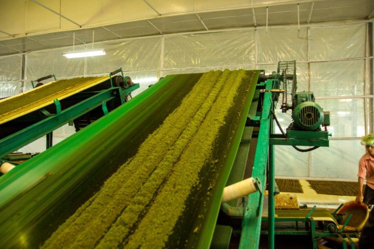 Гранулированный и листовой чай