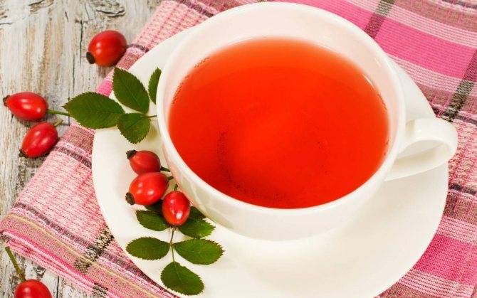 Чай с калиной: польза, противопоказания, для женщин. рецепты чая с калиной красной