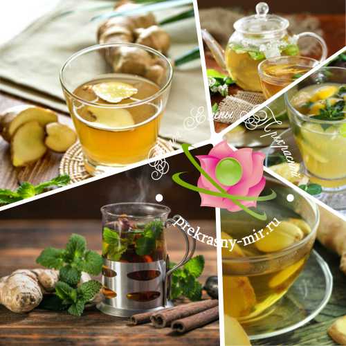 Как приготовить чай с имбирем для похудения – рецепты с лимоном и медом, зеленым чаем
