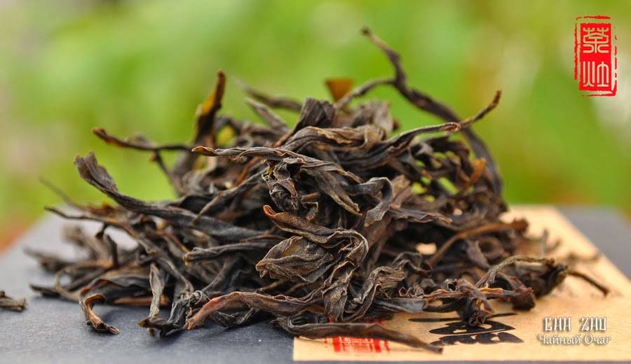 Характеристика чая Фэн Хуан Дань Цун или Фениксовый улун