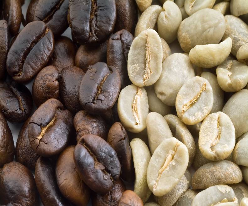 Кофе пакамара (pacamara): особенности сорта арабики