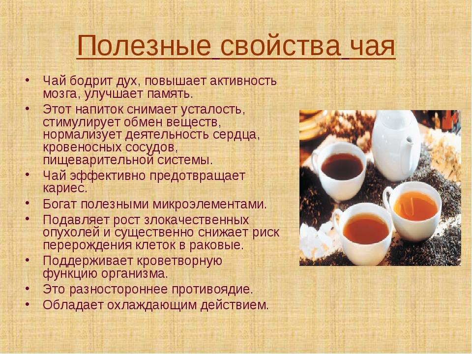 История кофе: откуда появился напиток и как он попал в россию