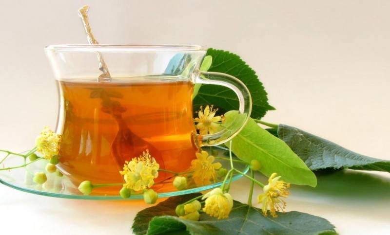 Как похудеть похудеть на зеленом чае отзывы