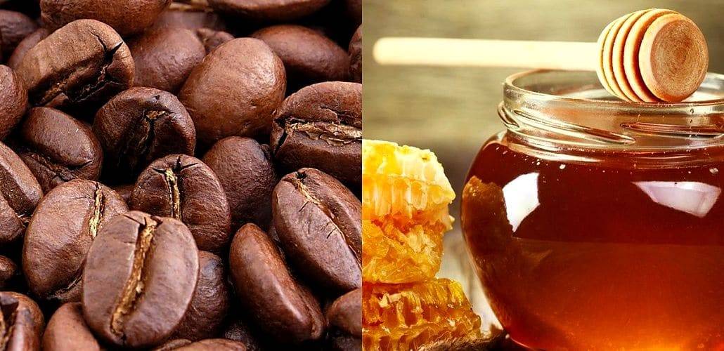 3 рецепта приготовления кофе с медом и его калорийность