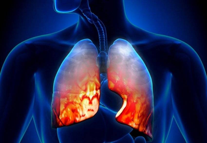 Отвар из лиственницы