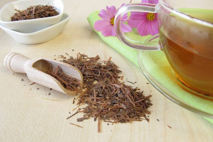 Чай лапачо – польза и вред напитка из коры муравьиного дерева