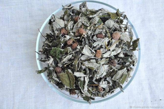Чай из листьев малины: польза и вред, полезные свойства малиновых листьев
