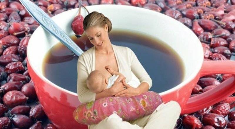 Мама кормит грудью, при этом пьёт кофе — это плохо? можно ли кормящим кофе – так ли безопасен напиток на самом деле?