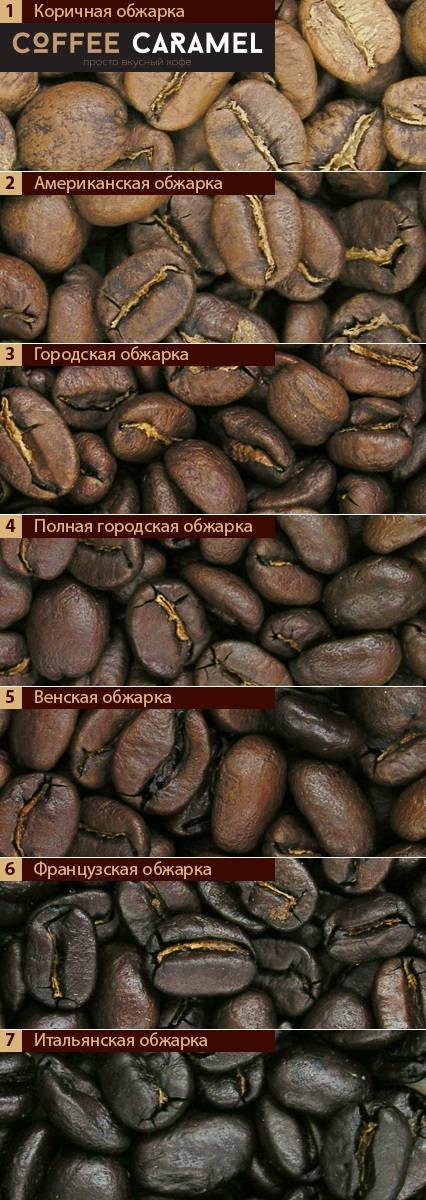 Гид по обжарке кофе: понятие, технология, степени обжарки