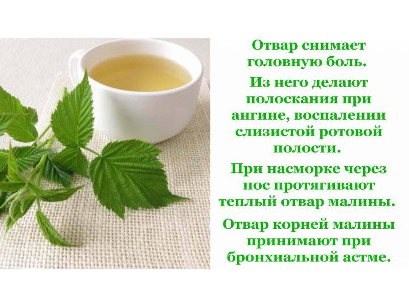 Чай с малиной – полезные свойства и рецепты приготовления