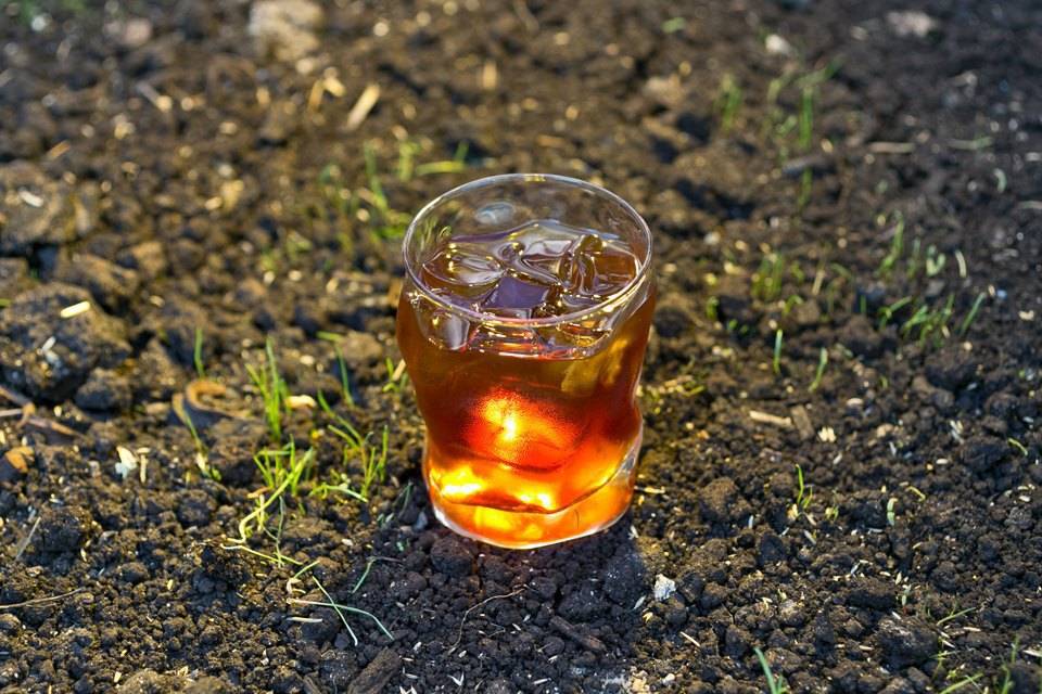 Что такое белый кофе и простые рецепты его приготовления