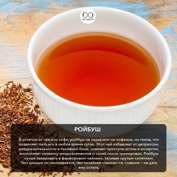 Чай ройбуш: польза, вред, свойства, заваривание, отзывы