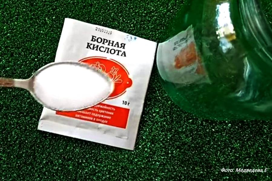 Отвар томатов