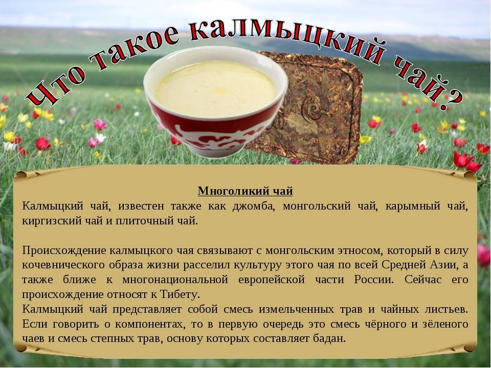 Калмыцкий чай. польза и вред. рецепты приготовления