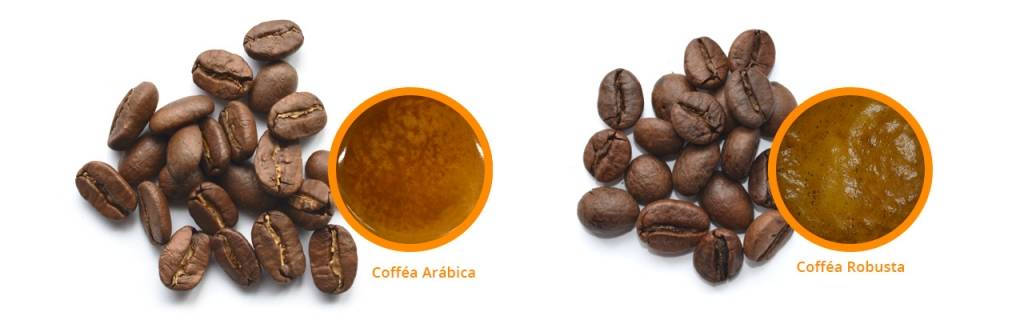 Лучшие сорта кофе арабика