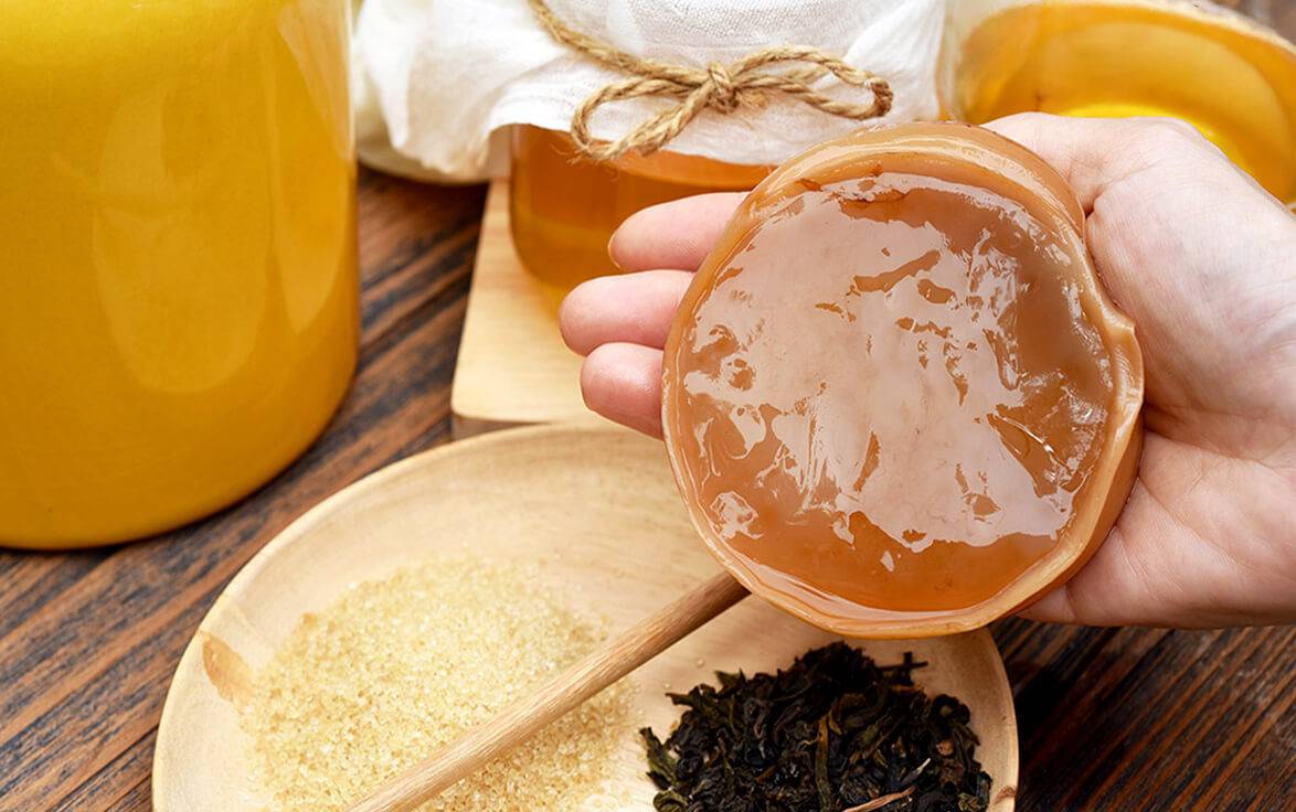 Грибной чай (Kombucha): польза и вред, как вырастить медузомицет