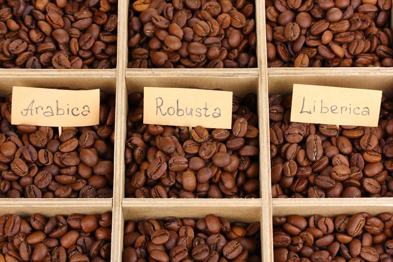 Кофе сорта либерика – редкость в местных магазинах