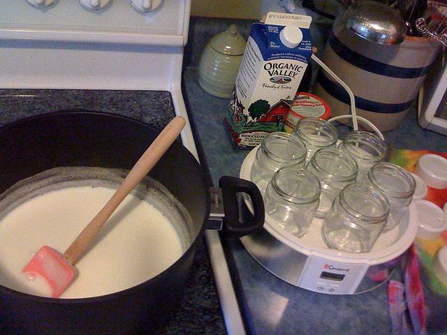 Как сделать йогурт в домашних условиях? приготовление йогурта - рецепт, фото