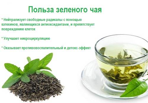 Можно ли беременным зеленый чай - все о пользе и вреде продукта. в каких количествах можно пить беременным зеленый чай? - автор екатерина данилова - журнал женское мнение