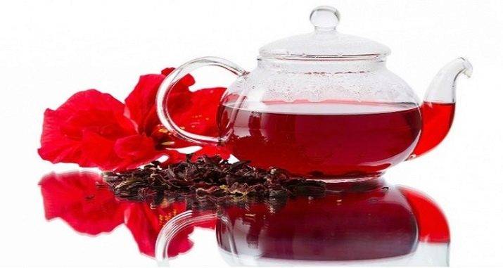 Замечательный каркаде: полезные свойства чая для женщин и мужчин, противопоказания и правила заваривания