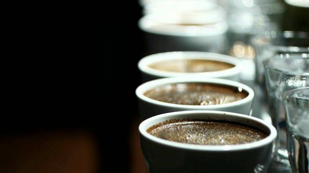 Каппинг кофе: особенности и нюансы проведения дегустации